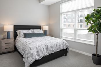 A bedroom with a bed, nightstands, and a potted plant.at The Edison at Maple Grove, Minnesota
