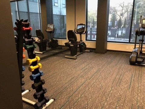 A gym with a variety of equipment including weights and machines at The Redwell Apartments, Minnesota