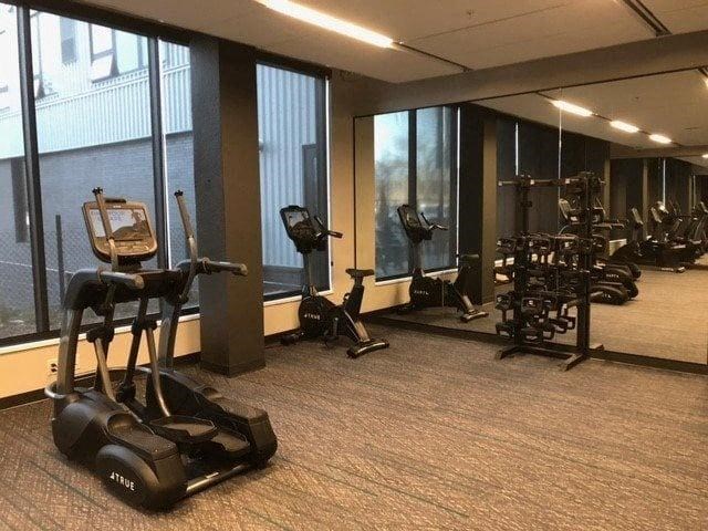 A gym with treadmills, elliptical machines, and other exercise equipment.