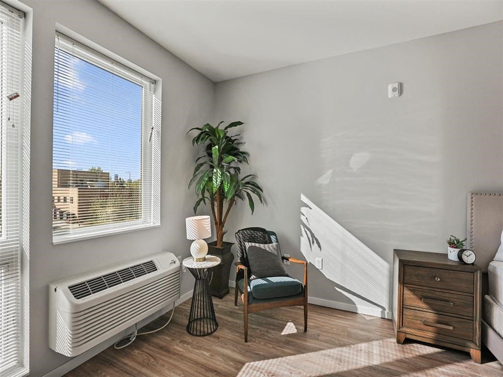 A room with a bed, chair, and plant.