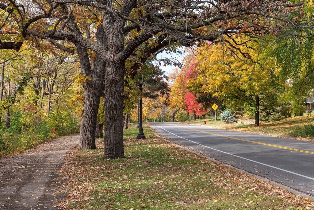 a road with trees on the side of it