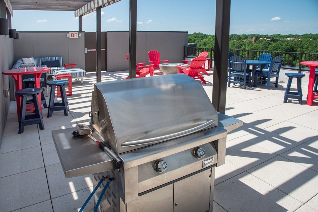 Rooftop Grill Station at Lake Jonathan Flats, Chaska