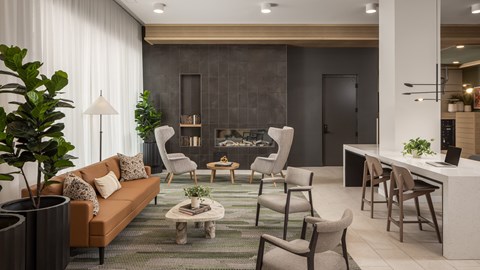 A modern living room with a grey rug and a brown sofa.