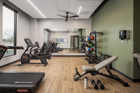 A gym with a treadmill, weights, and exercise equipment.