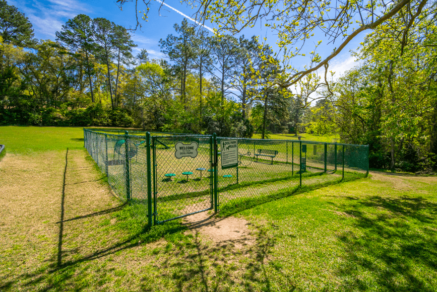 Dog Park