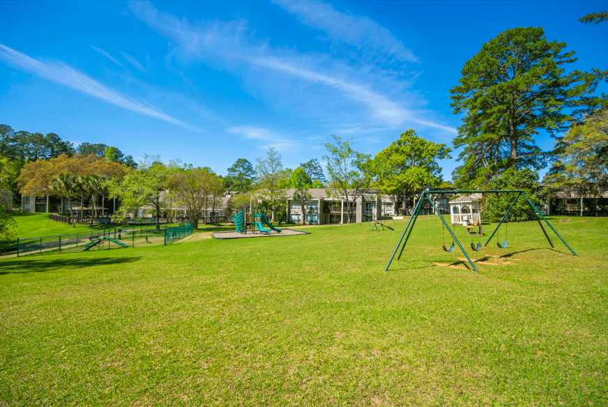 Overview of Playground and Dog Park