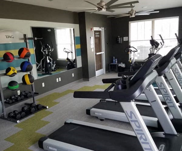 a gym with treadmills and weights in a home gym