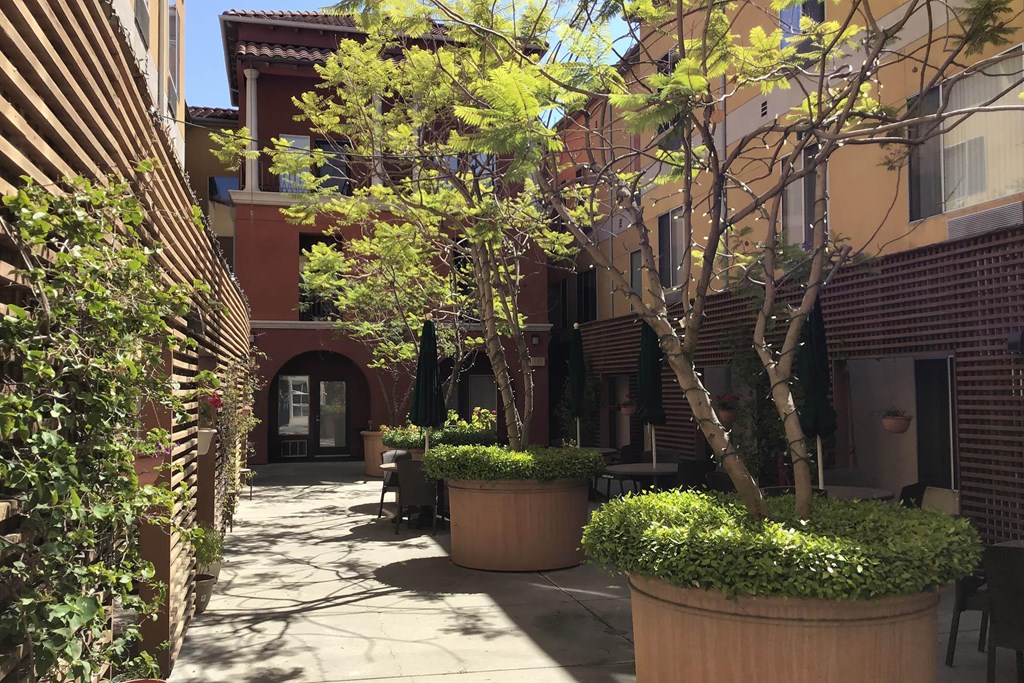 A Courtyard With a Tree at Atrium Garden Apartment Homes, LLC, San Jose, CA, 95112