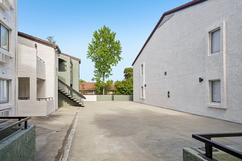 A courtyard with a tree in the background and a building on the right.
