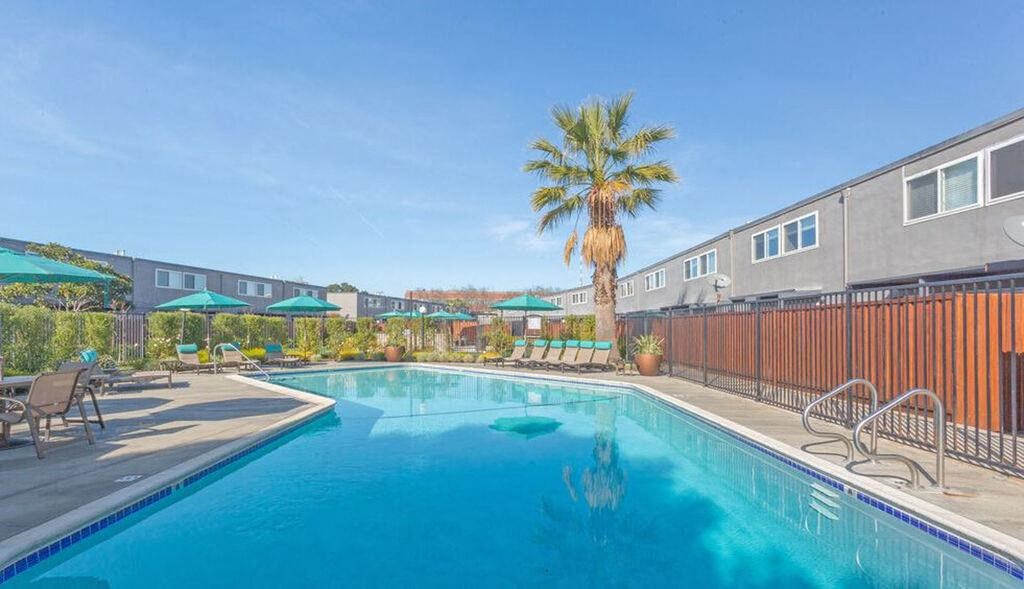 a swimming pool with a palm tree next to a building at The Preston at Hillsdale, San Mateo, CA
