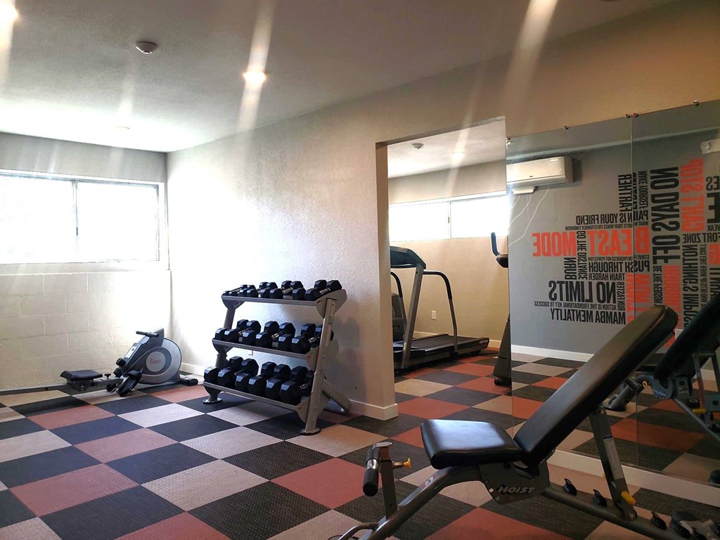 a gym with weights on a checkered floor and a wall of gym equipment