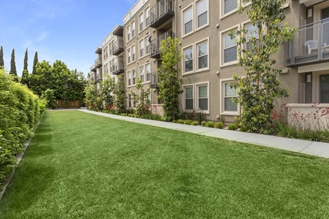 A long grass lawn in front of apartment buildings. at Cirrus Redwood City Apartments, Redwood City, CA, 94061