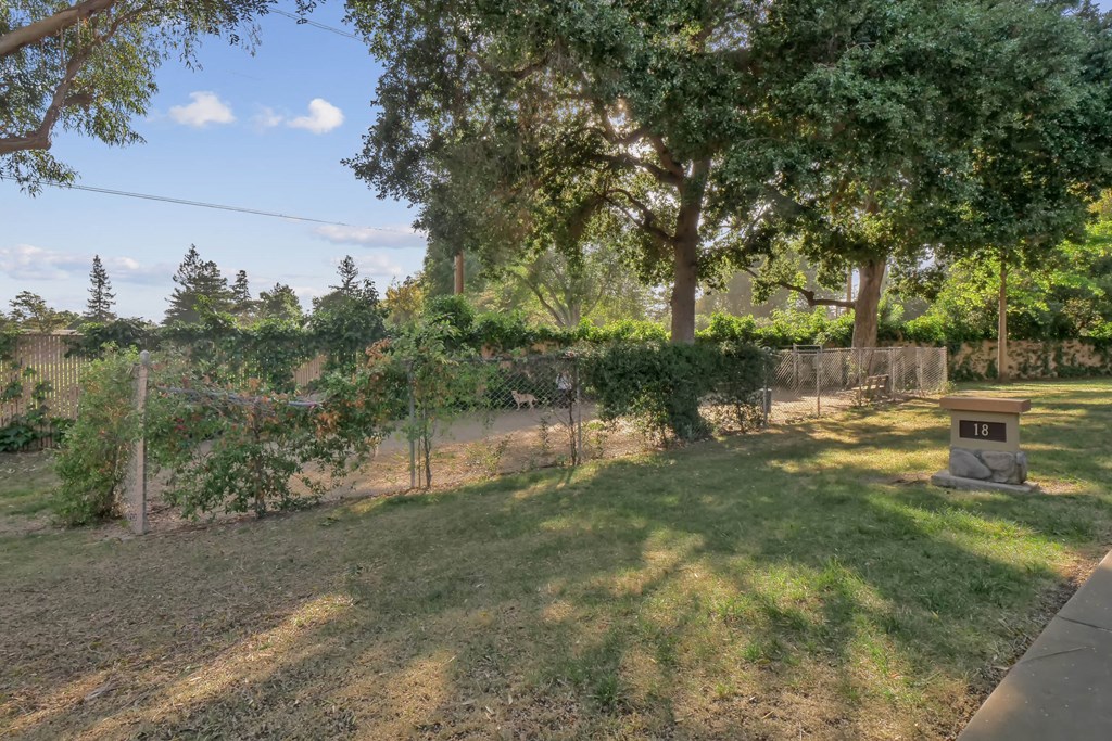 the backyard of a house with a fence and a tree at Summerwood Apartments, California, 95050