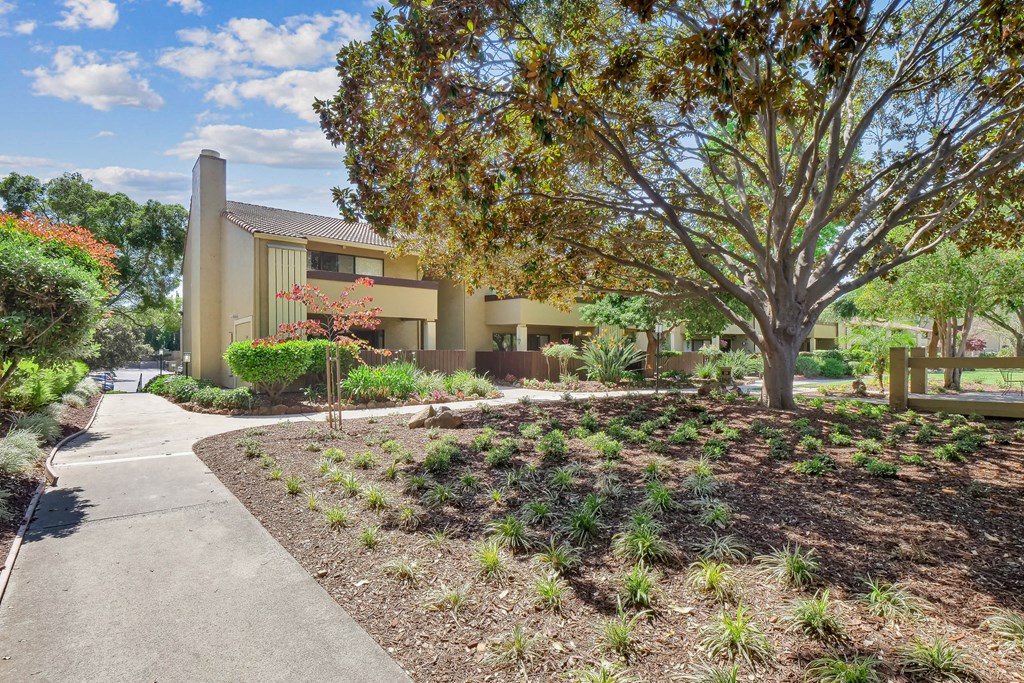 a sidewalk in front of a building with trees and plants at Summerwood Apartments, Santa Clara