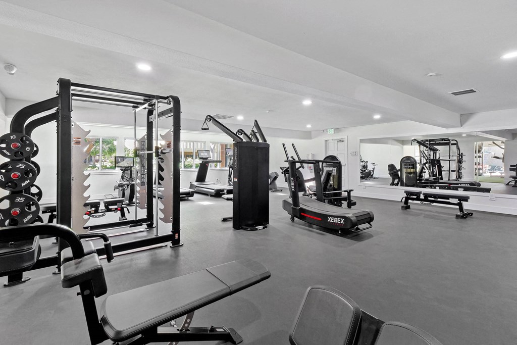 a gym with weights and cardio equipment in a room with a large window at Summerwood Apartments, Santa Clara, CA