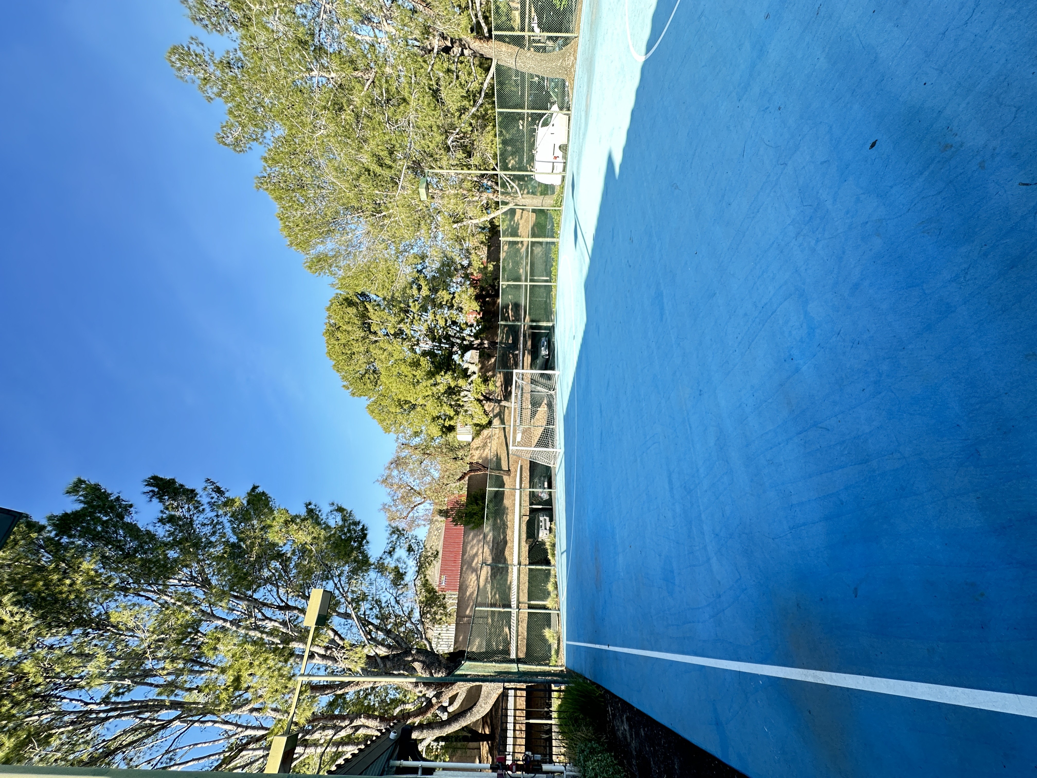 the sport court with soccer net and lush foliage at The Bryant Apartments at Yorba Linda, Yorba Linda California