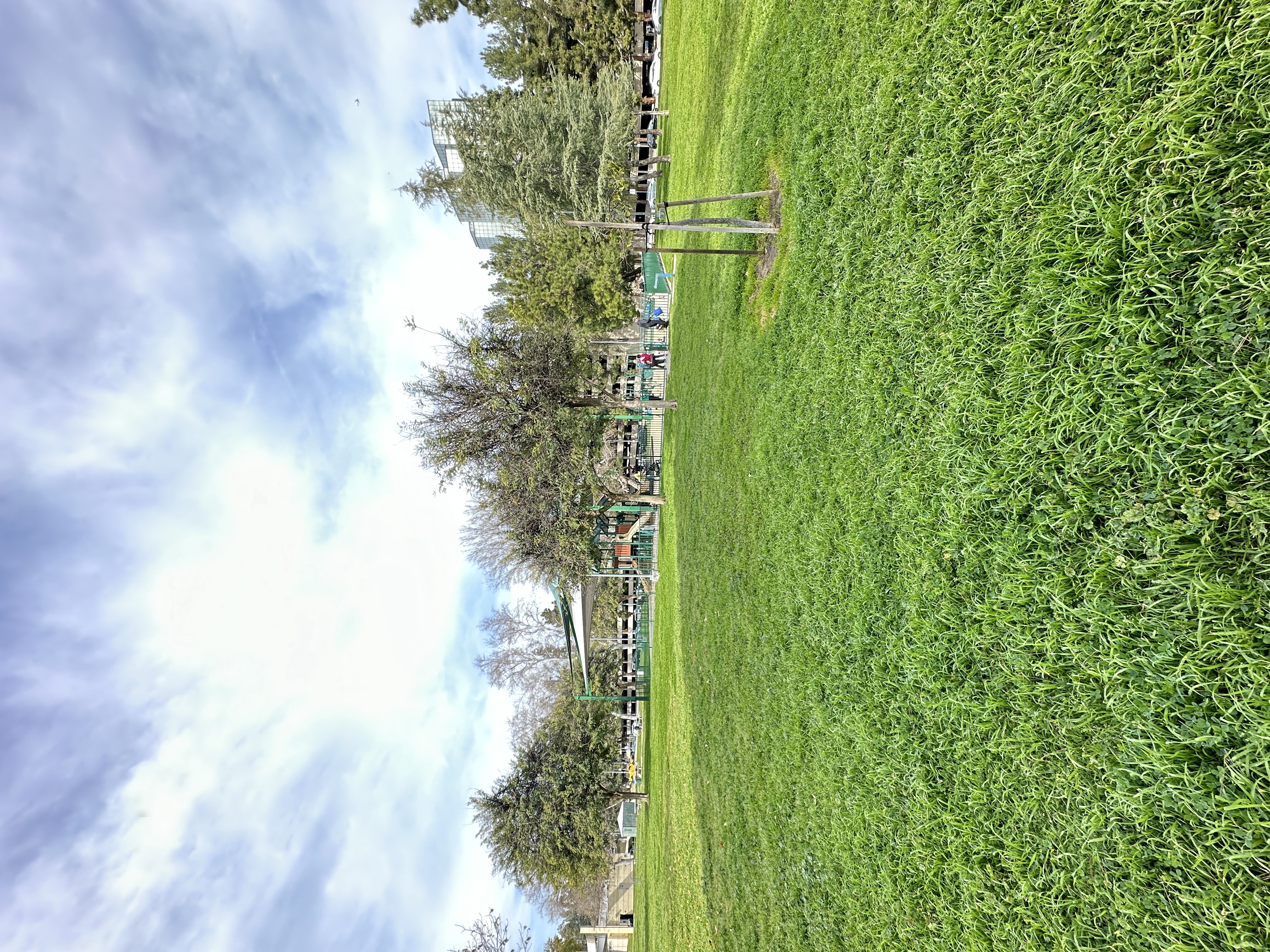 Grassy field with trees at City View Apartments at Warner Center, Woodland Hills, CA 91367