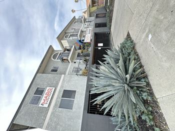 a view of the side of a building with a christmas tree