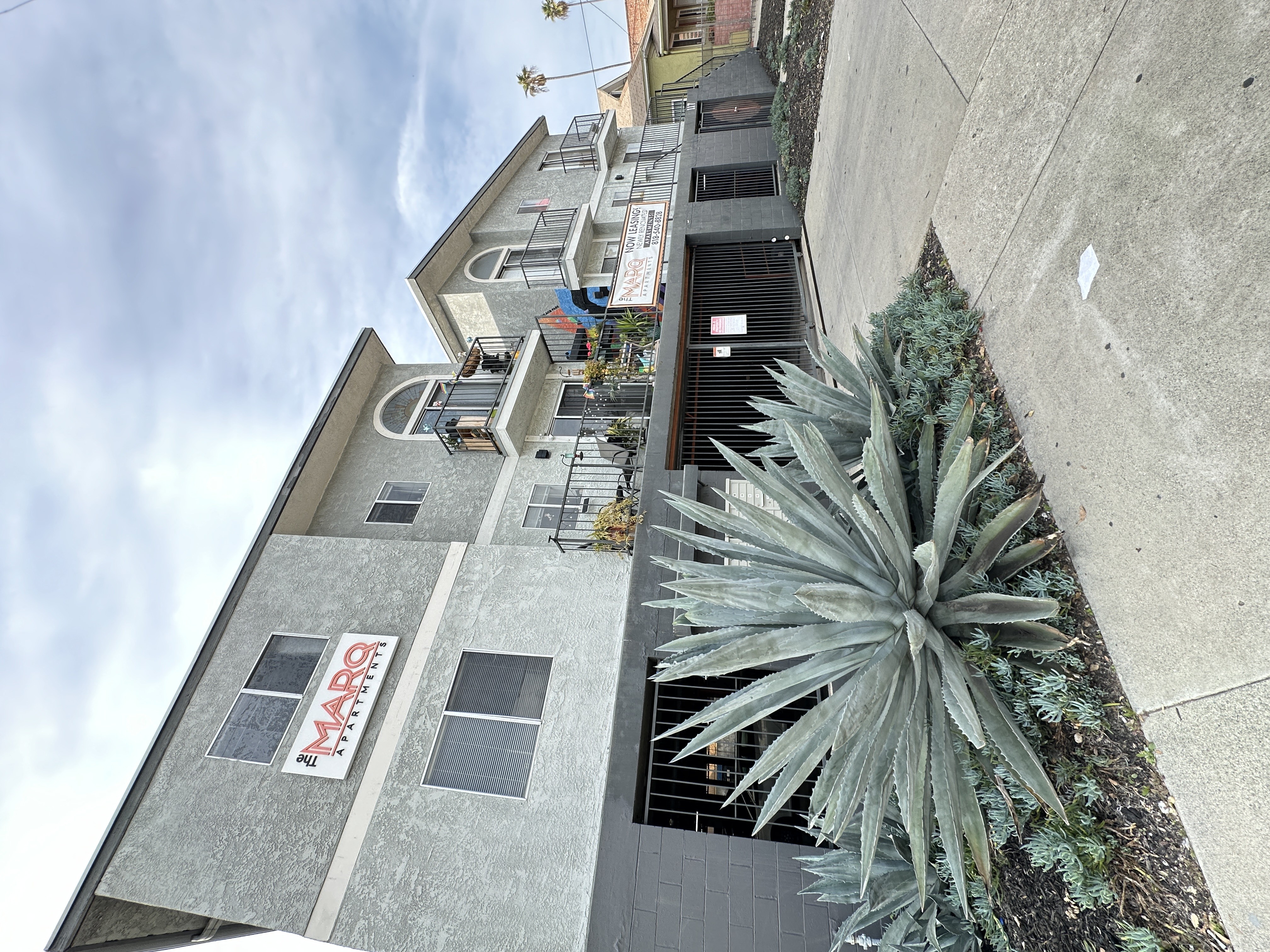 a view of the side of a building with a cactus