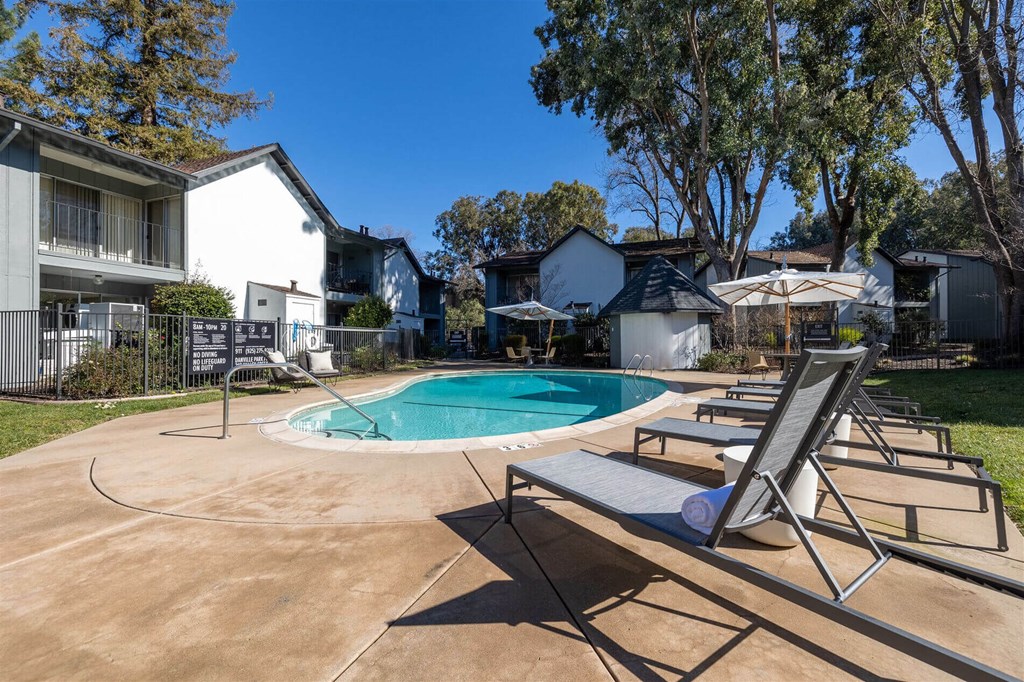our apartments have a large pool and lounge chairs  at Danville Park, Danville