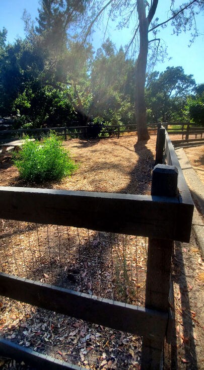 a fenced in area with trees and plants    and a fence  at Danville Park, Danville, CA