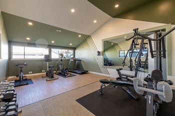 a gym with weights and cardio equipment in a home gym at Diablo Vista, Livermore