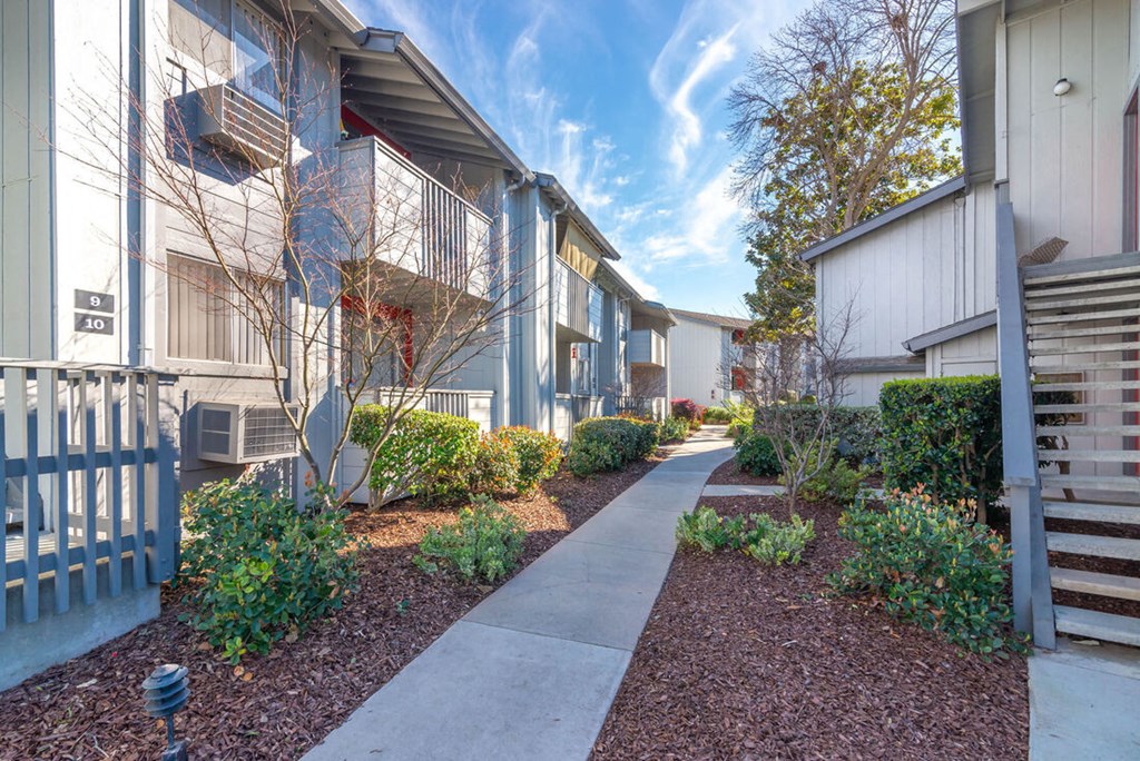 Exterior Walkways with Trees at Sunnyvale Crossings Apartments, California, 94087