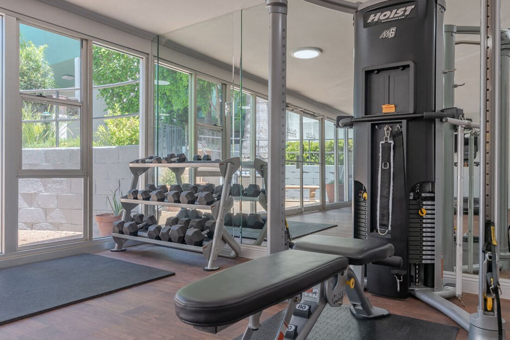 a gym with weights and cardio equipment and a window at The Flats on Addison, Sherman Oaks California