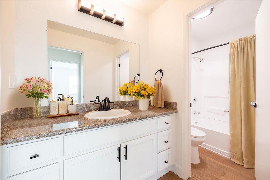 A bathroom with a sink, mirror, and a toilet.