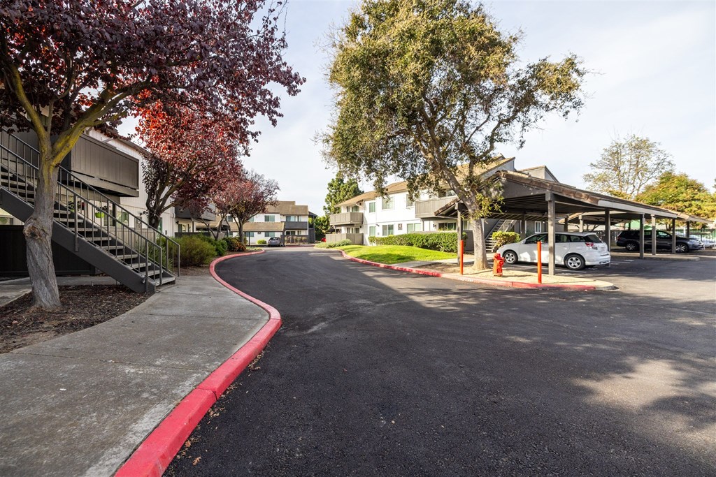 Parking Lot at Summerhill Place Apartments, Union City, CA