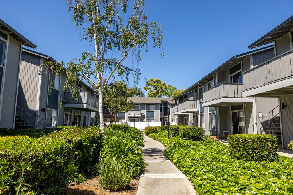 an exterior view of apartments with sidewalks and plants and trees at Campbell West Apartments, California