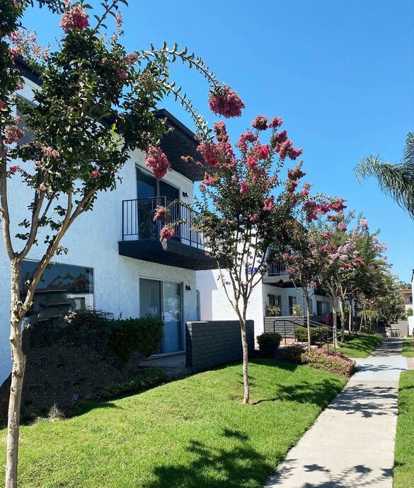 a sidewalk in front of an apartment building with flowering trees at Latitude Apartments at Mission Valley, San Diego, CA