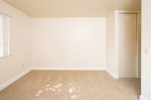 A room with a carpet and a door.