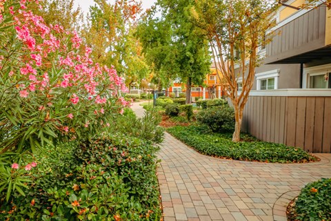 A brick pathway leads through a garden with a tree and a building in the background.