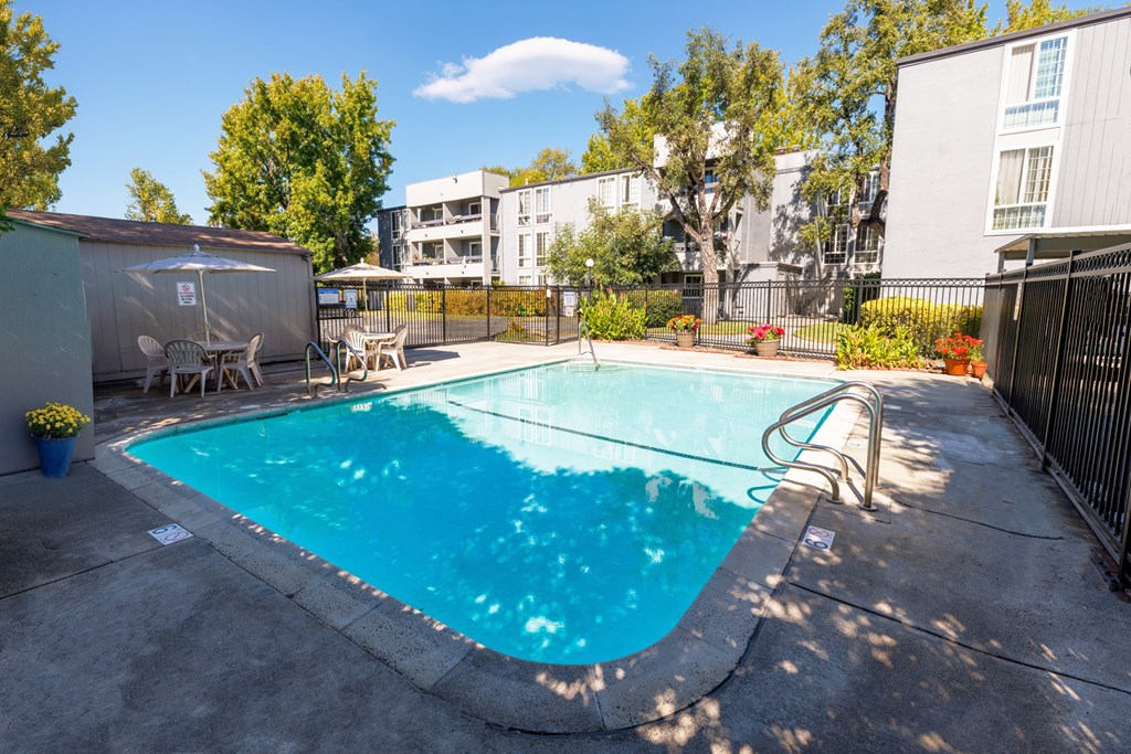A small pool surrounded by a fence and trees.
