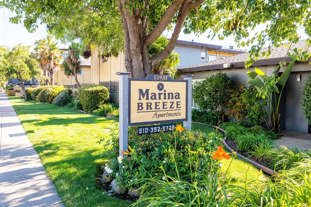 A sign for Marina Breeze Apartments is in front of a tree.