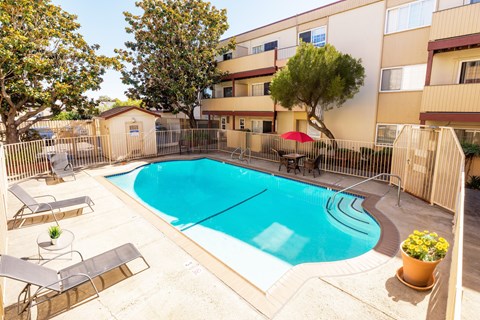 A swimming pool surrounded by a fence and trees.