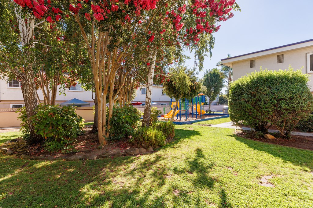 A tree with red flowers is in the foreground of a sunny park.
