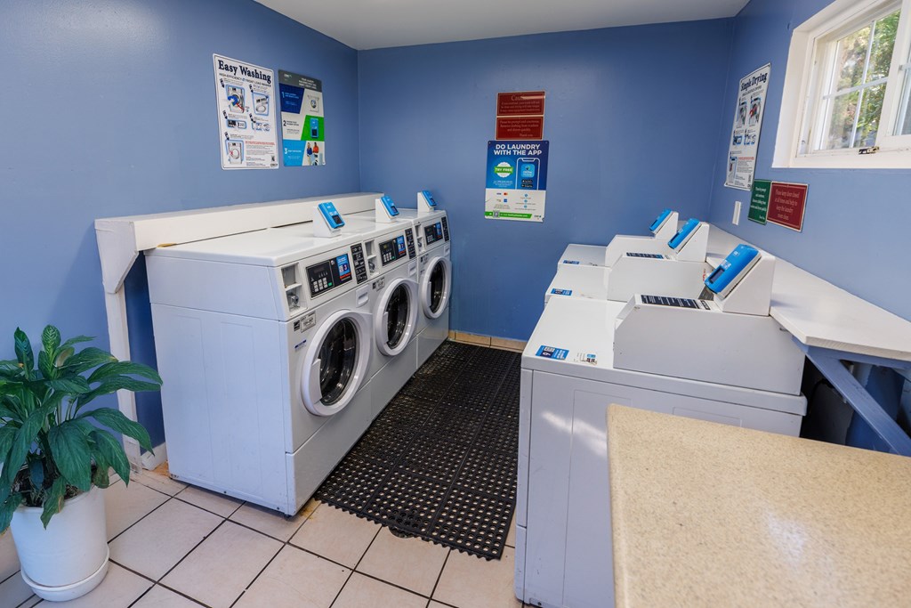 A laundromat with washers and dryers.