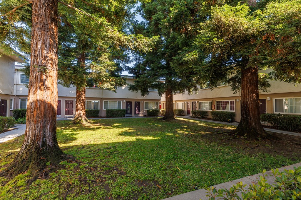 A tree in front of a building.