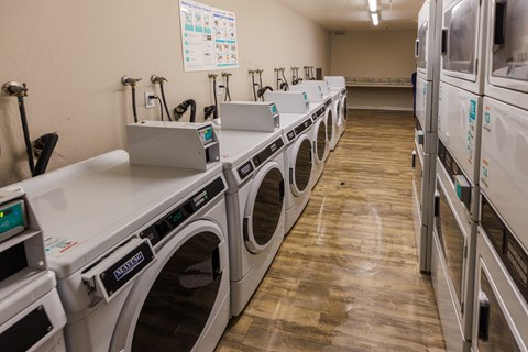A row of front-loading washing machines are lined up in a laundromat.