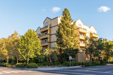A large apartment building with a tree in front of it.