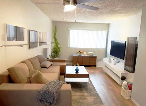 A living room with a brown couch and a television.