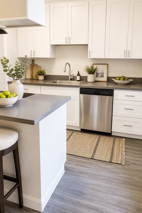 1236 Detroit Ave 1-2 Beds Apartment for Rent