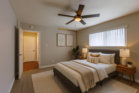 A bedroom with a bed, a ceiling fan, and a nightstand with a lamp.