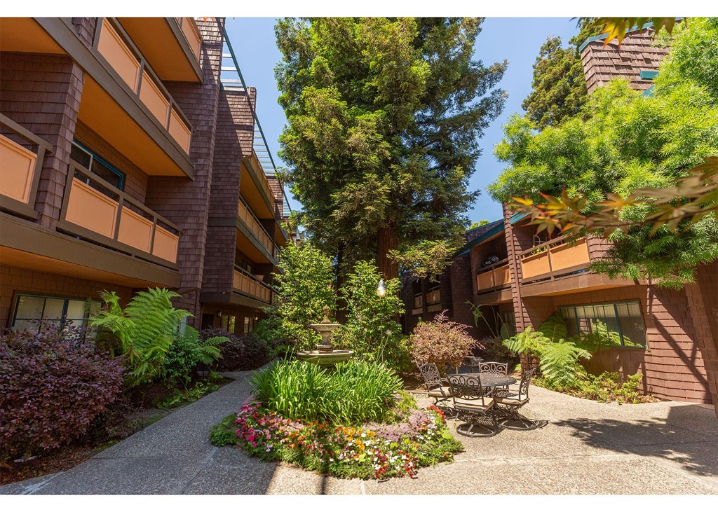 A courtyard with a bench and a tree in the middle of a building.