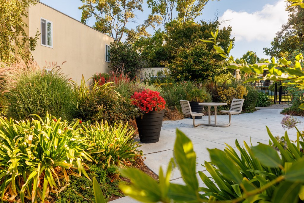 A patio with a table and chairs surrounded by green plants.