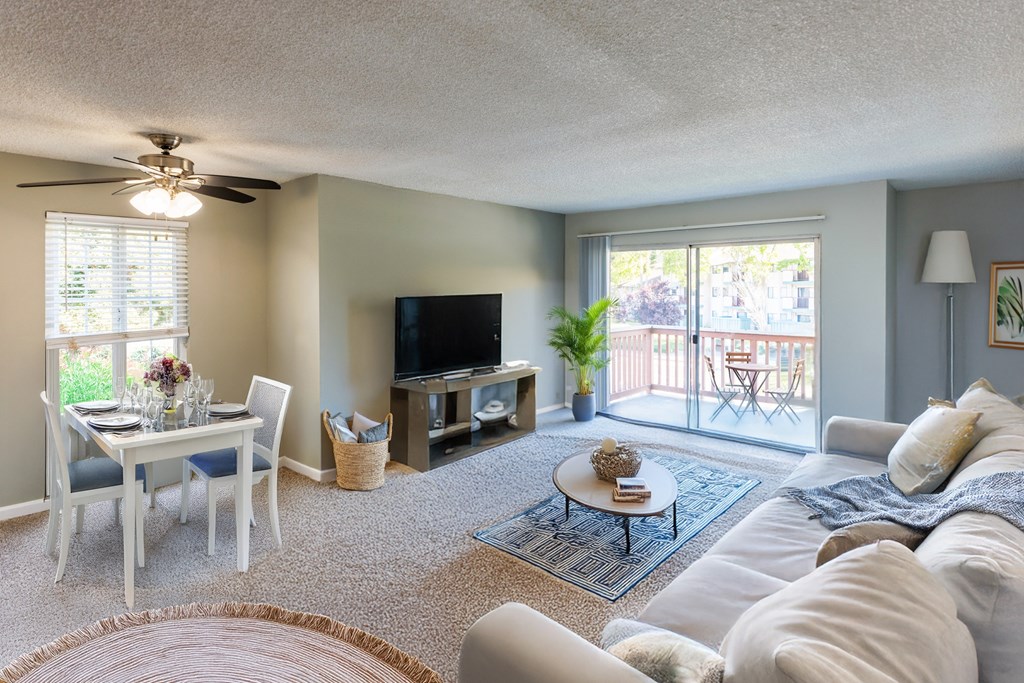 A living room with a white couch and a television.