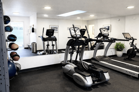 A gym with a treadmill, exercise bike, and weights.
