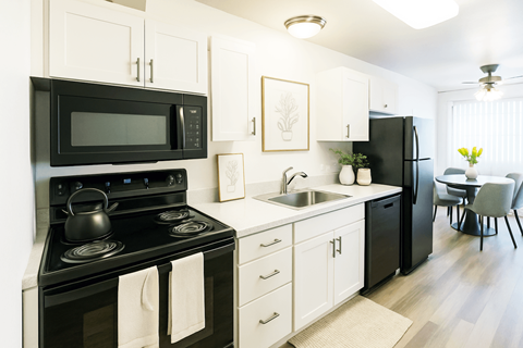 A black and white kitchen with a stove, microwave, and refrigerator.